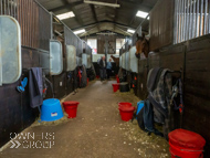 AH190423-45 - Anthony Honeyball Stable Visit